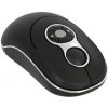 Xpert Systems  Black Wireless Mini Optical Mouse - USB QuickFind: 1739