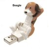 Xpert Systems  Crunching Dog - USB QuickFind: 4775